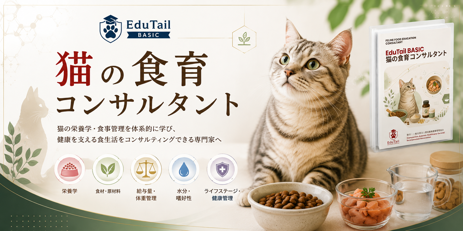猫の食育コンサルタント｜猫の食事・栄養を自宅で学べる猫の資格