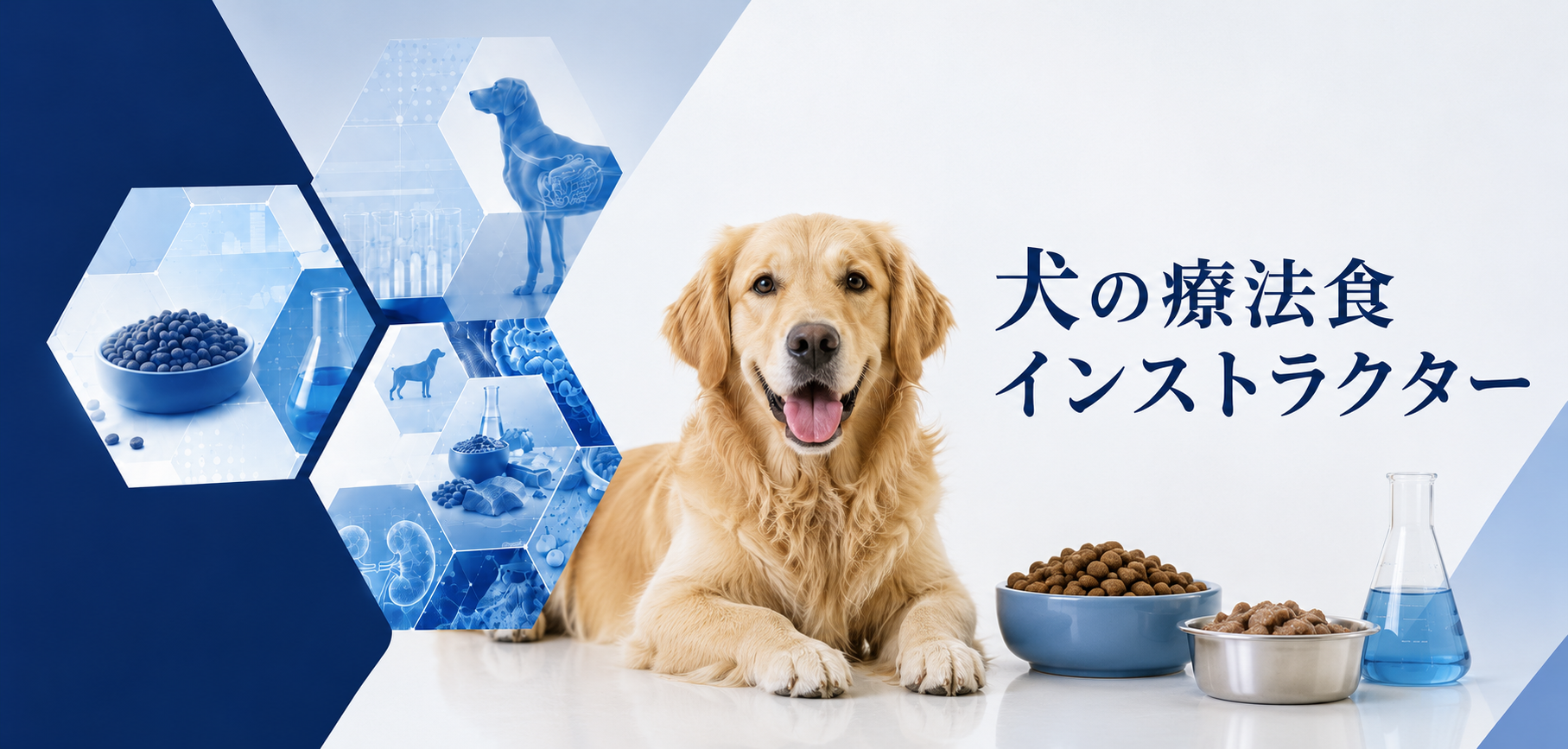 犬の療法食インストラクター｜犬の療法食・食事管理を自宅で学べる犬の資格