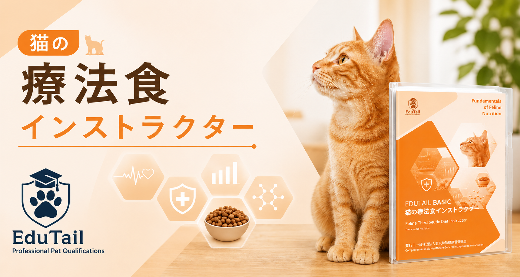 猫の療法食インストラクター｜猫の療法食・栄養・食事管理を自宅で学べる猫の資格