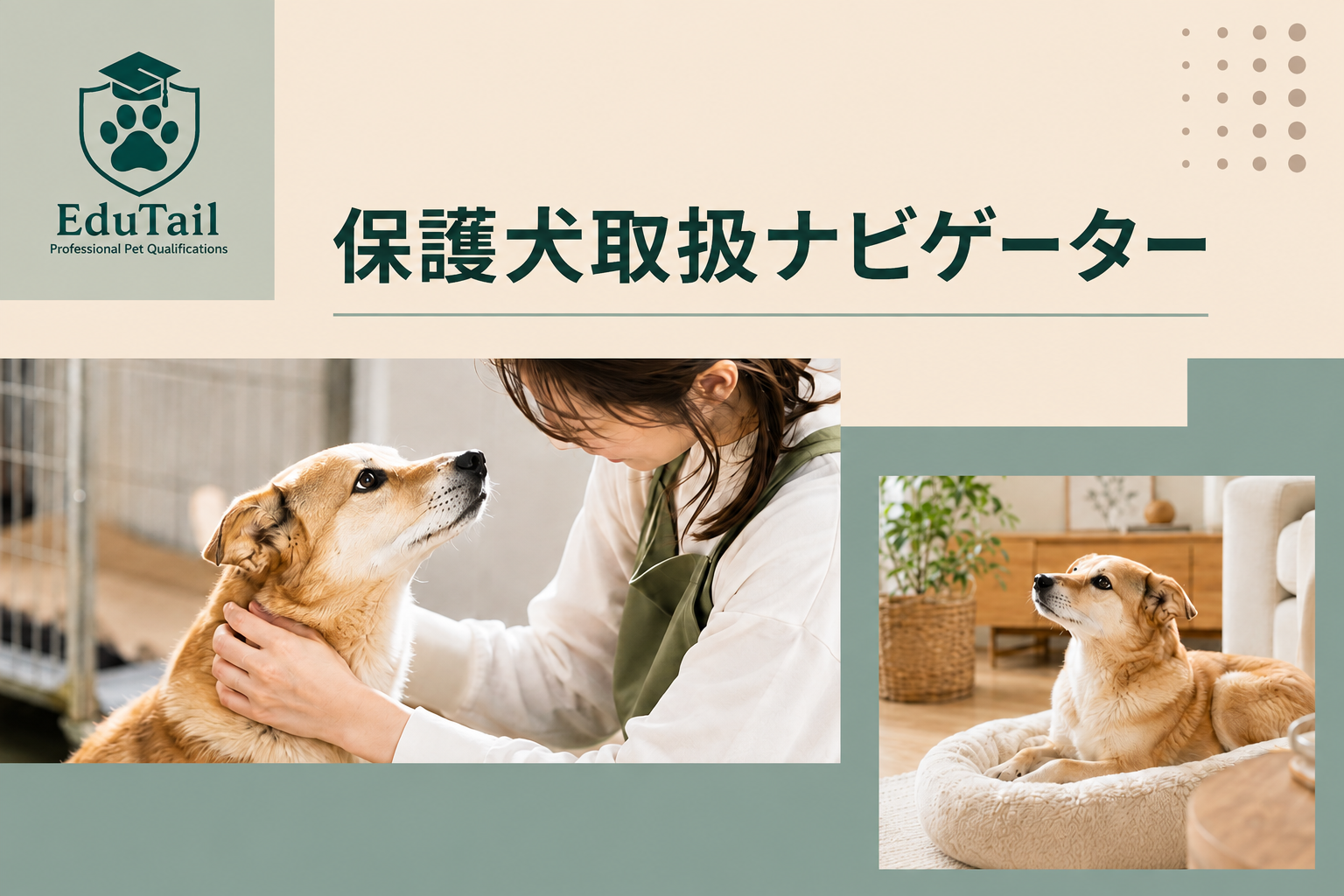 保護犬取扱ナビゲーター｜保護犬の接し方・飼育・動物保護を自宅で学べる資格