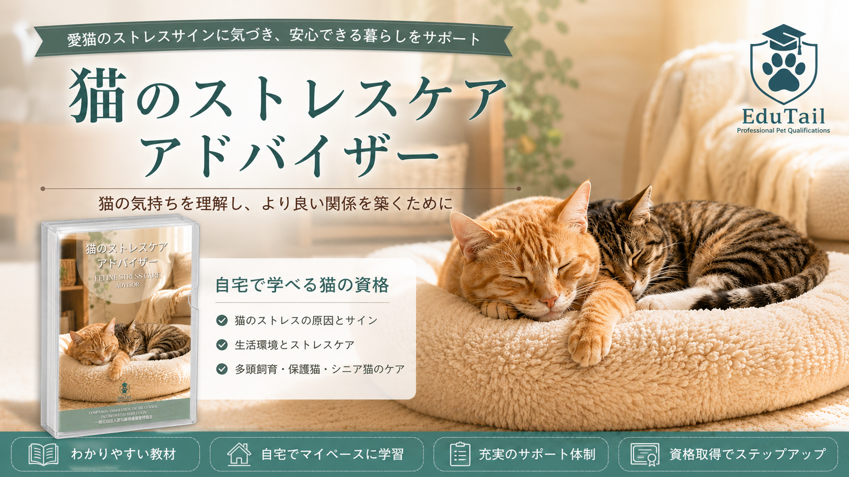 猫のストレスケアアドバイザー｜猫のストレスサイン・原因・ケアを自宅で学べる猫の資格
