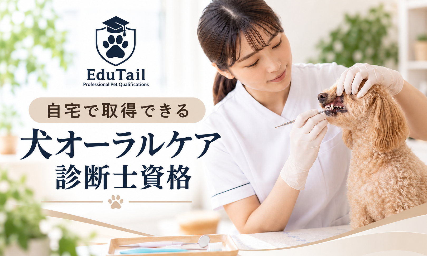 犬オーラルケア診断士｜愛犬の歯・歯ぐき・口腔内の健康状態を確認する知識を自宅で学べる資格