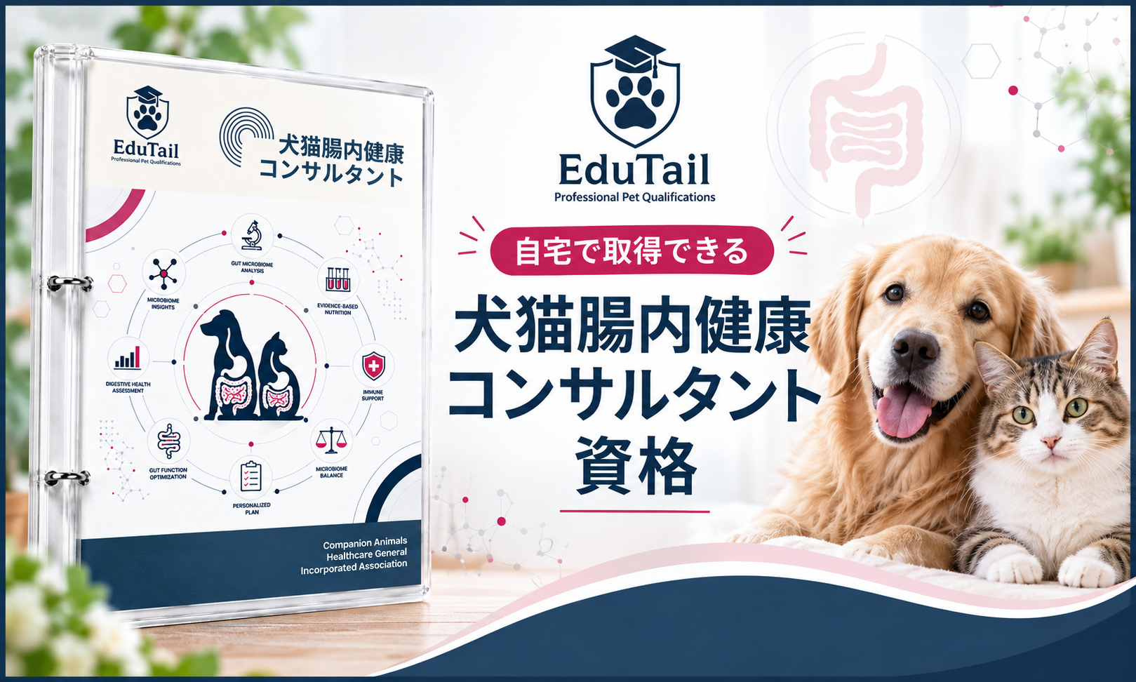 犬猫腸内健康コンサルタント|犬猫の腸・消化・食事管理・腸内環境を自宅で学べる資格