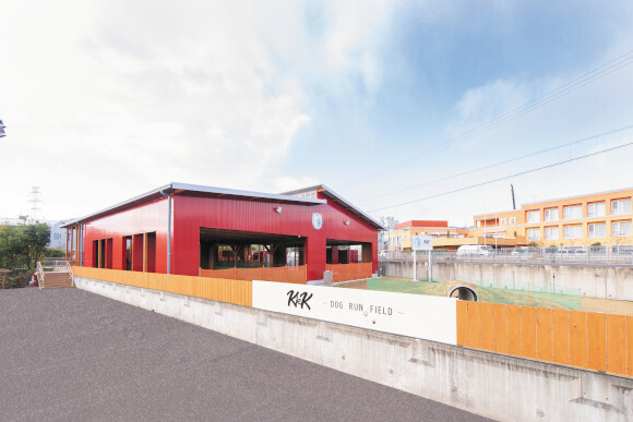 月額会員制ドッグランへ移行する理由と、これからの使い方について