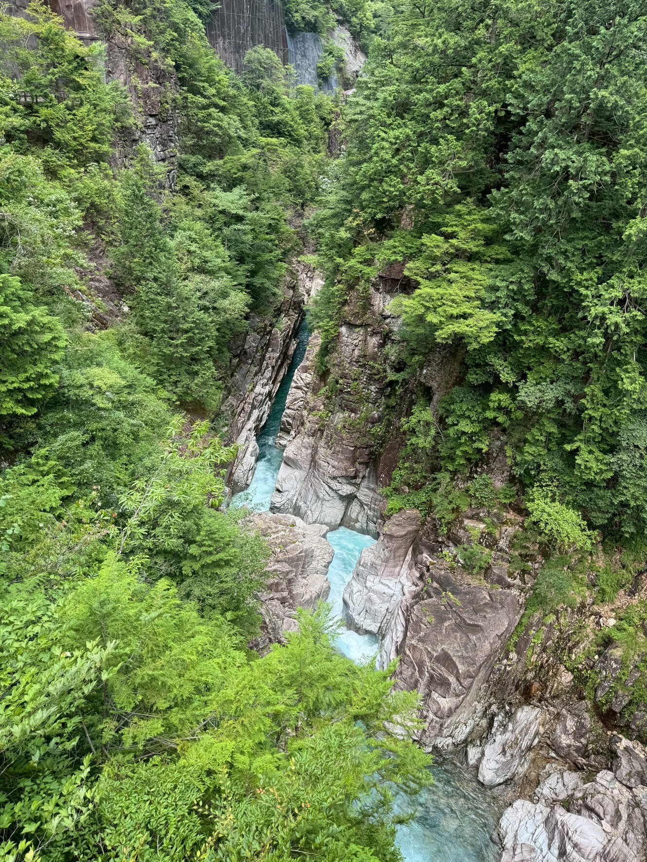 【岐阜県関市】川浦渓谷|モネの池も通過して行ける!犬連れで楽しむ大自然と涼しさ
