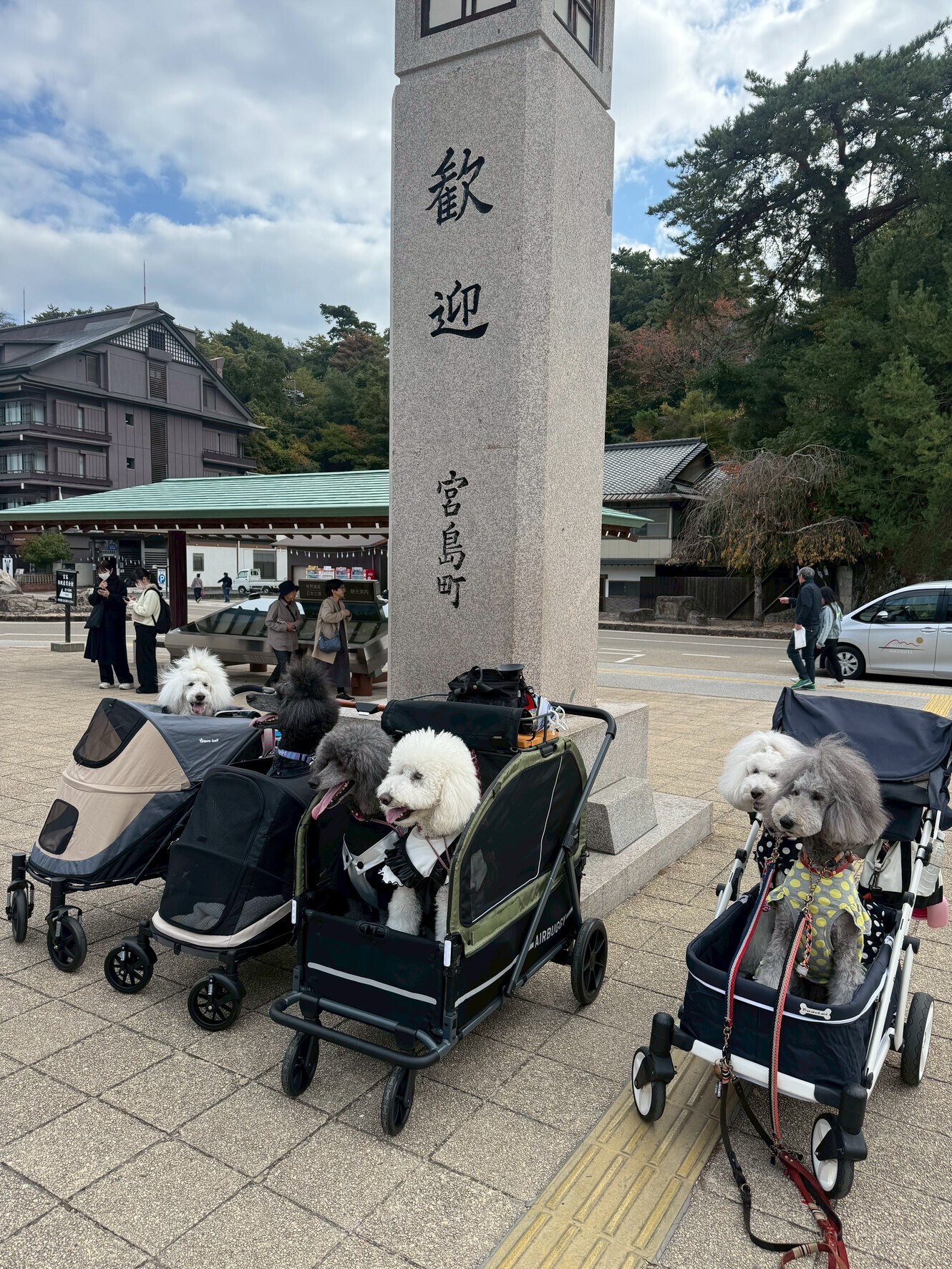 わんこと旅するキャンピングカー|宮島編― 車中泊だから叶う、わんこと自由な旅 ―