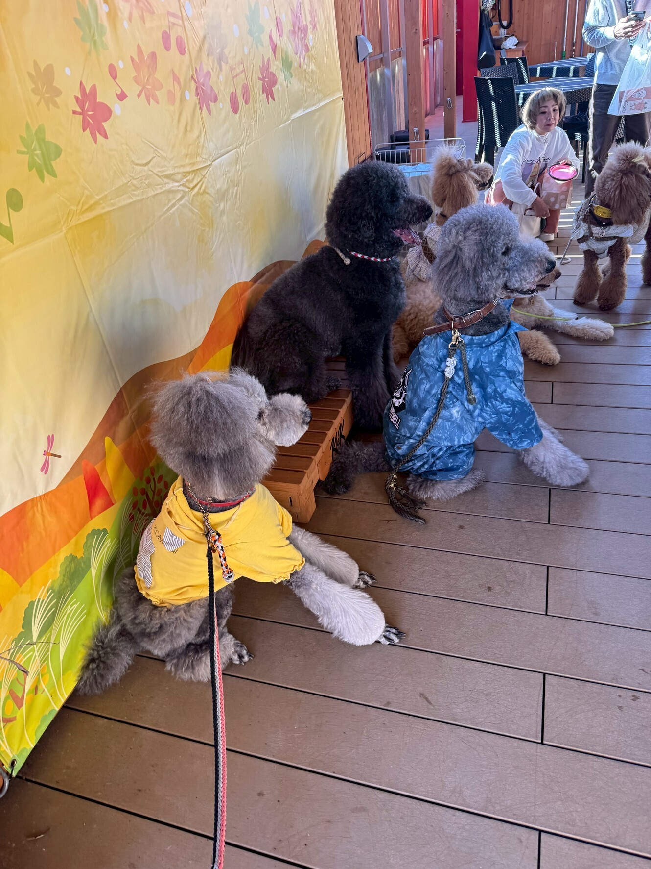 わんこと旅するキャンピングカー｜湯の華RVパーク編― 小麦のお里オフ会・前夜祭を、車中泊でゆったり楽しむ ―