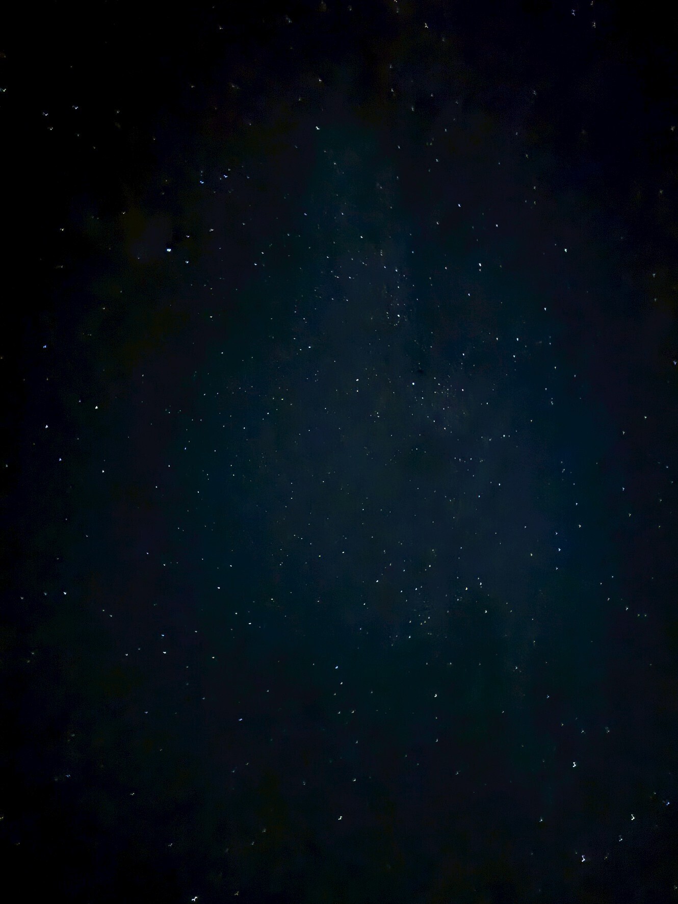 わんこと旅するキャンピングカー｜木曽駒冷水公園編― 静かな森の中で。わんこと鍋と日本酒を楽しむ夜 ―