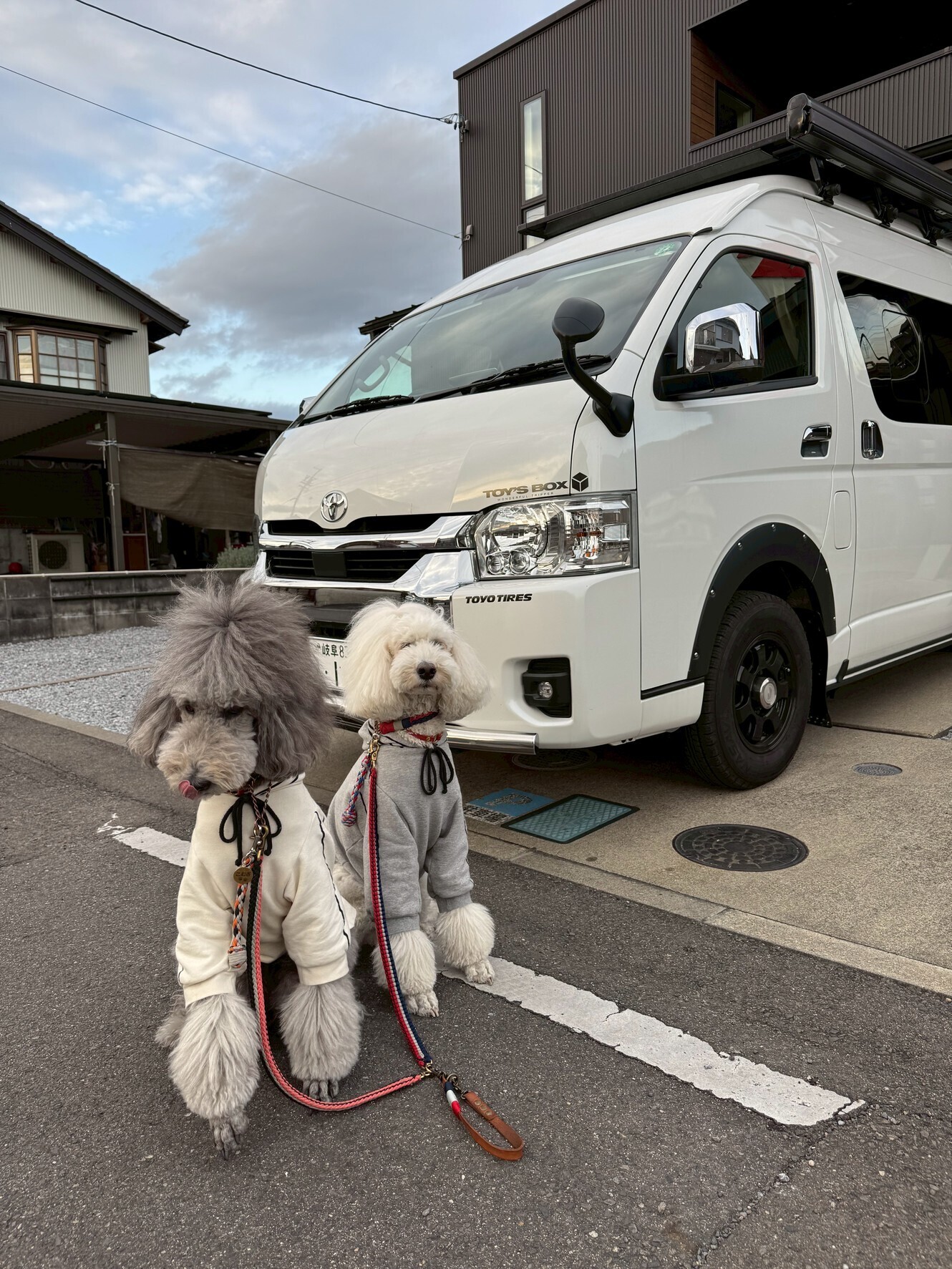 犬連れキャンピングカーレンタルで快適に車中泊|不安が消えるサイズ感ガイド