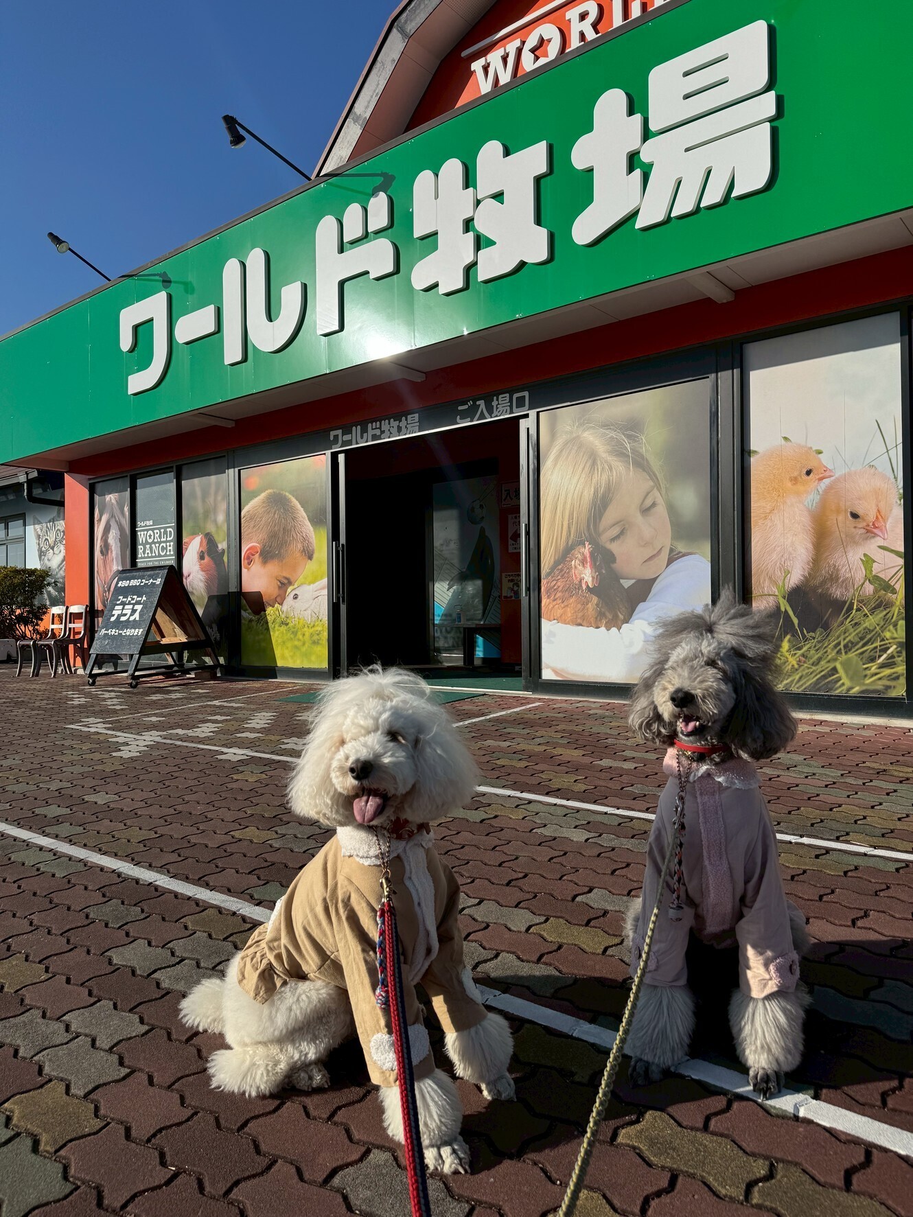 🐾 小夏と小麦と、ワールド牧場へ