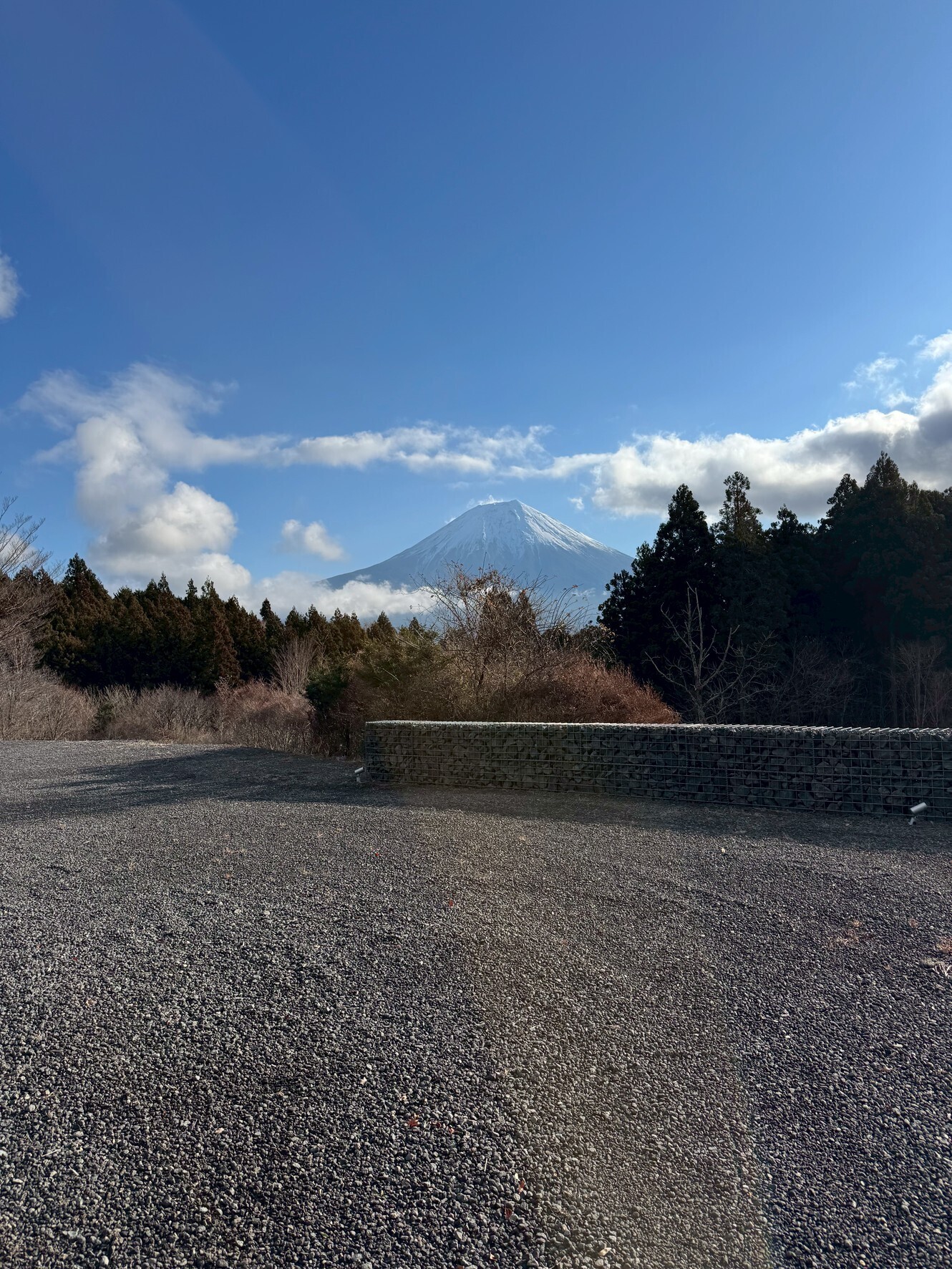愛犬と車中泊、これが楽しい。