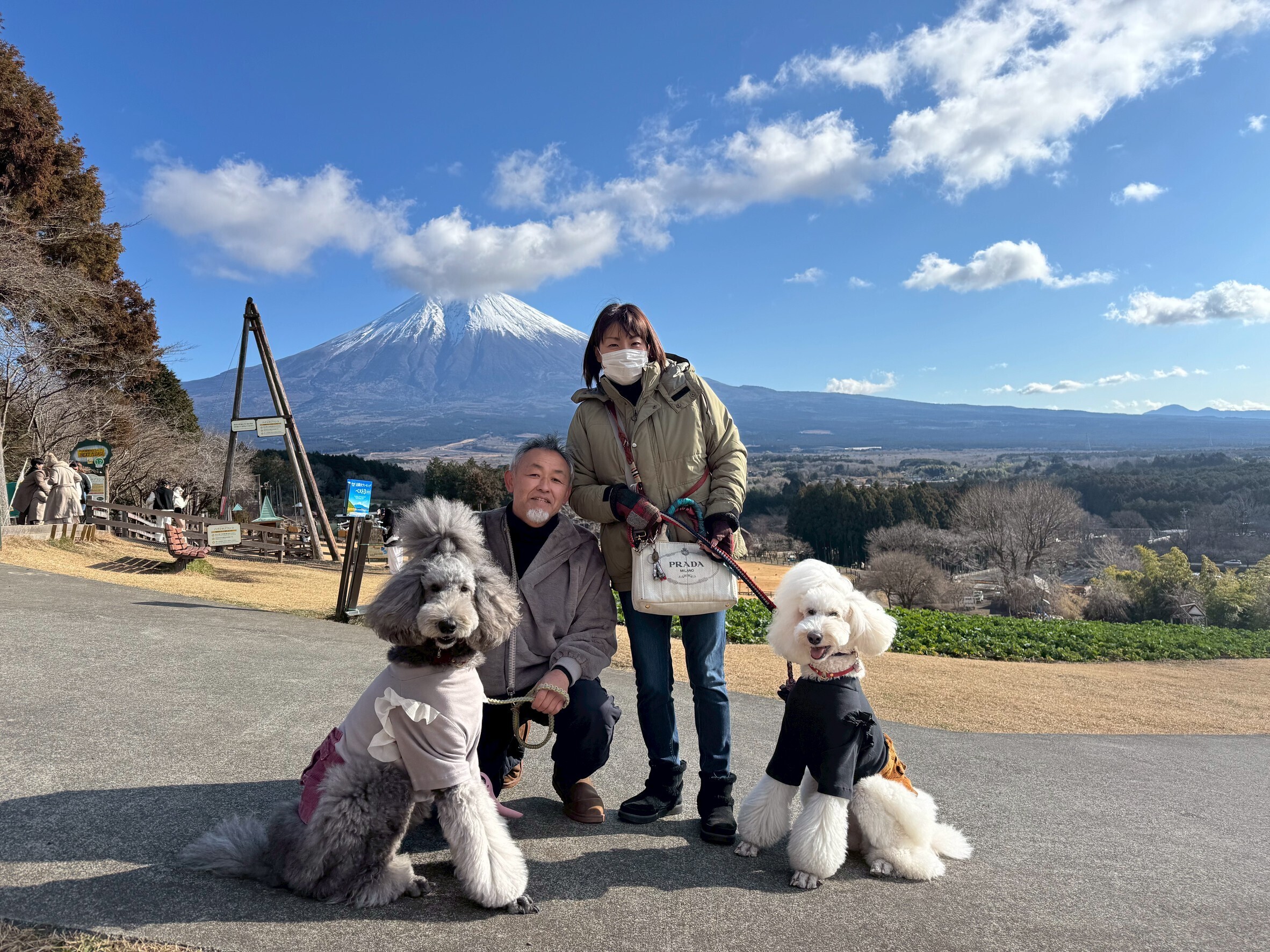 🐶 わんこと旅するキャンピングカー｜まかいの牧場編