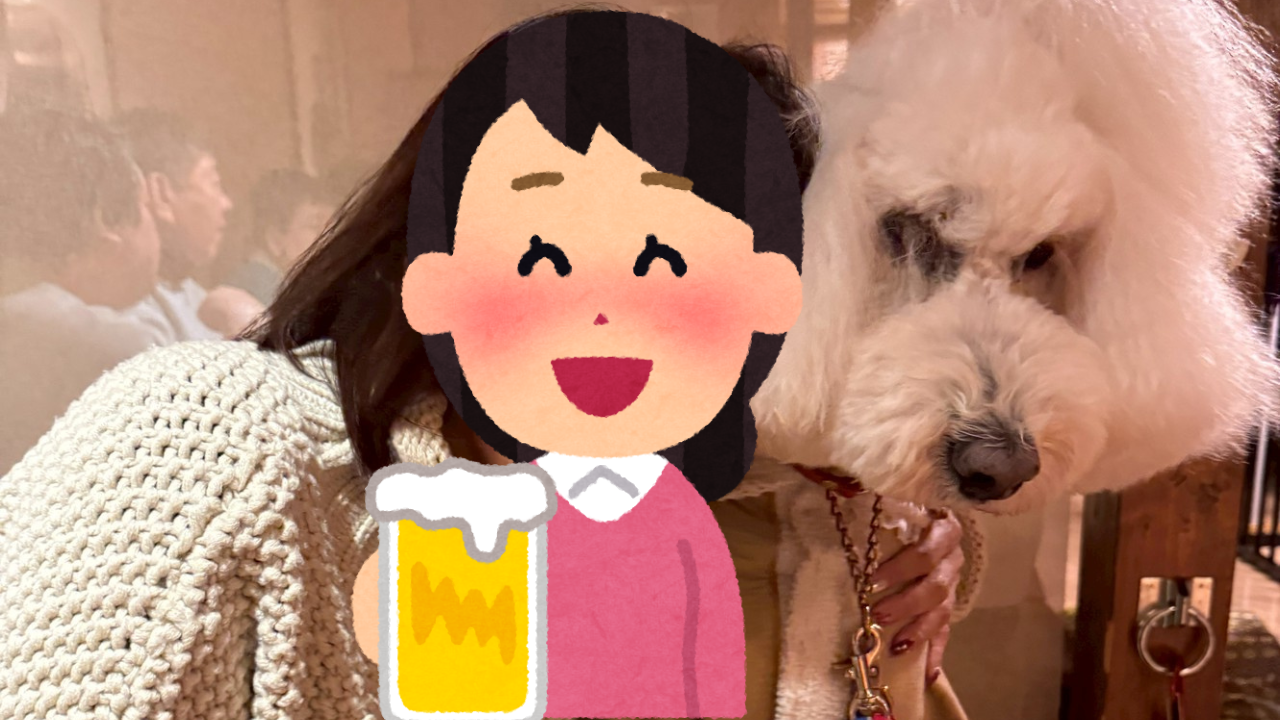 わんこと過ごす夜｜岐阜で「室内で一緒にお酒」が叶った日