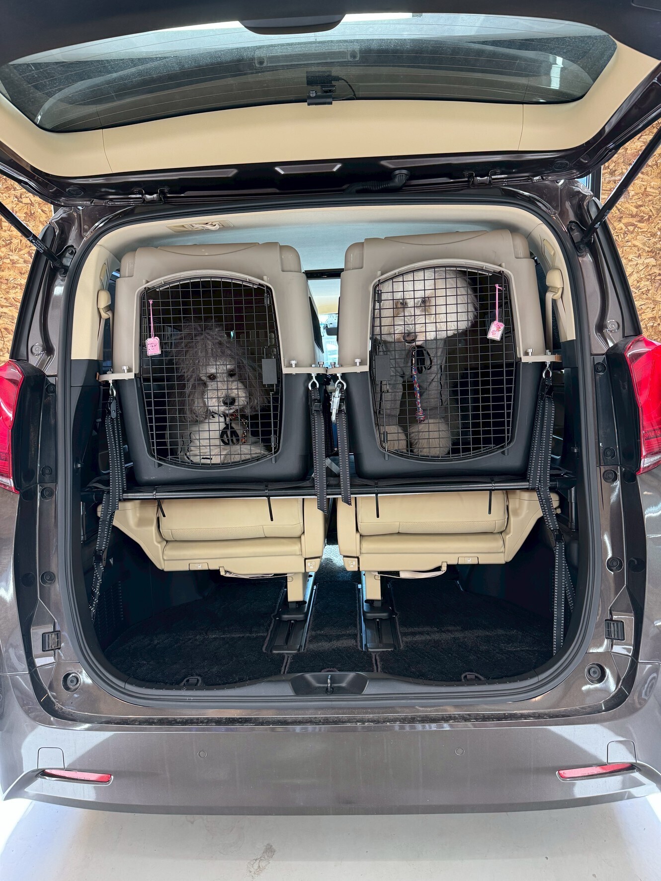 大型犬との車移動、「まあ大丈夫でしょ」をやめた話