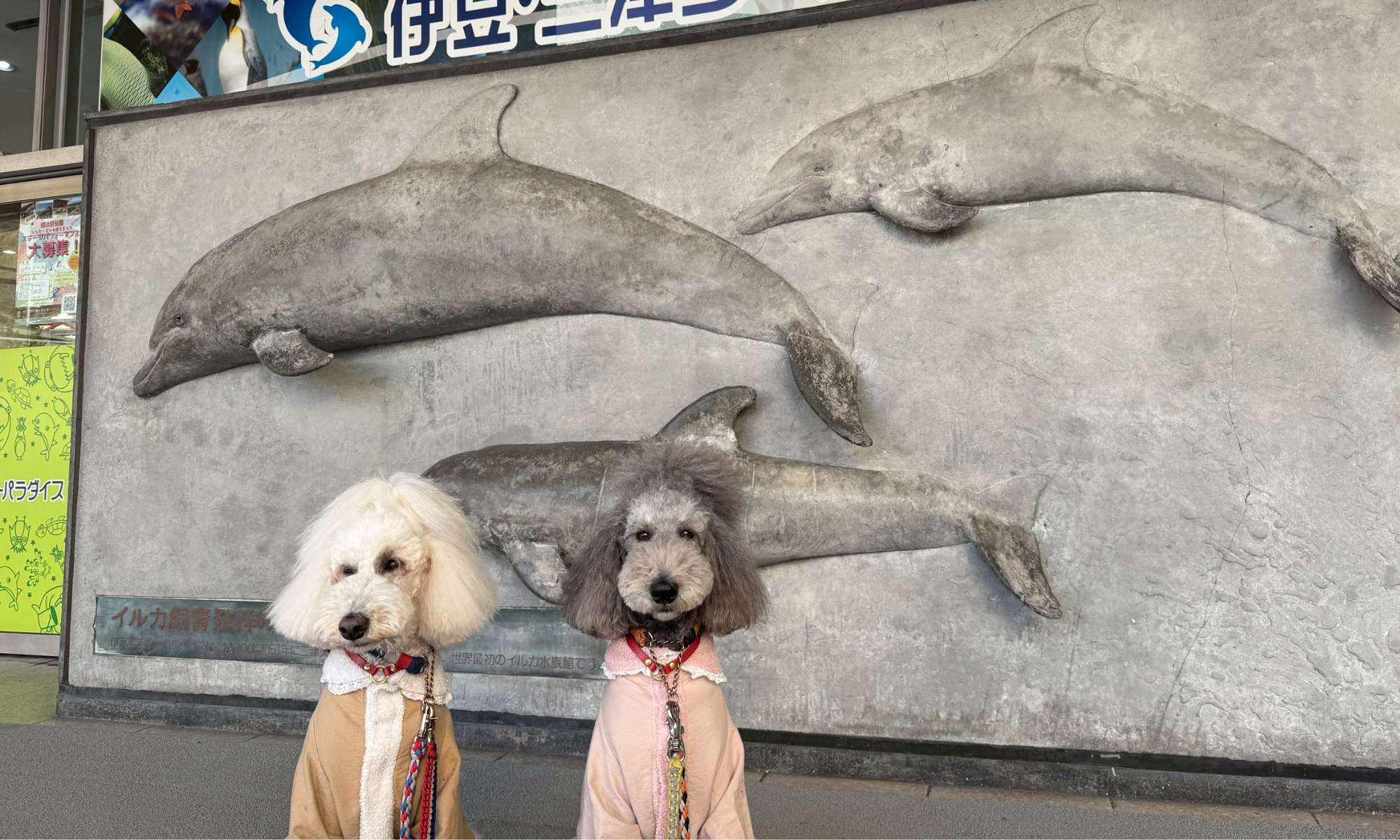 愛犬と水族館デート！みとしーで見つけた“いつもと違う表情”