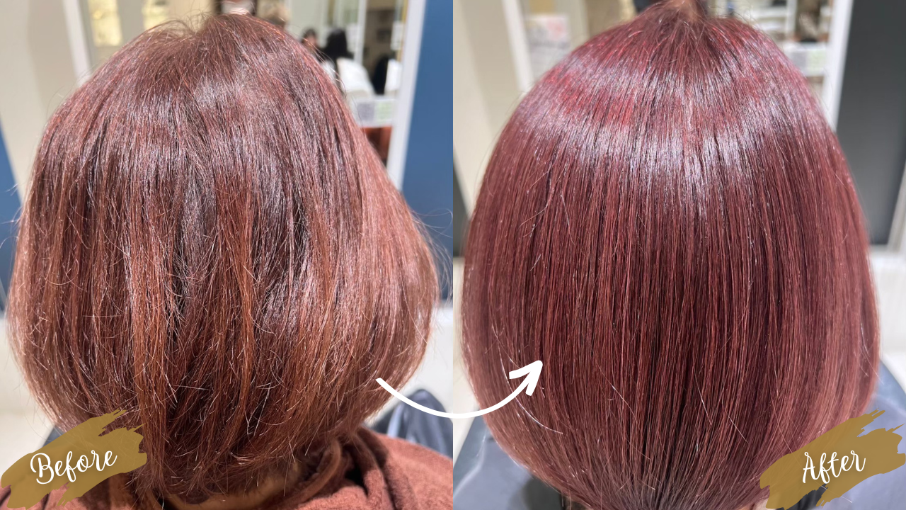 Vol.12　春のお悩み解決　つやつやトリートメント