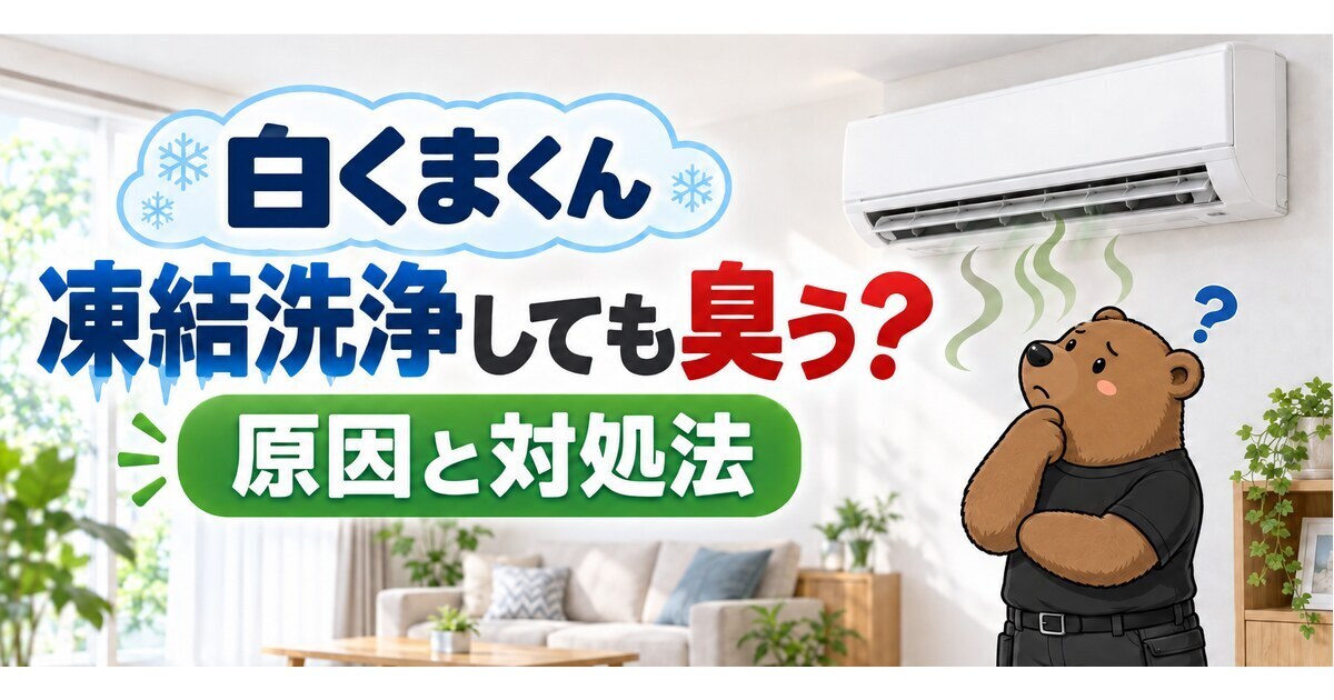 日立 白くまくんの凍結洗浄をしても臭う?原因と対処法