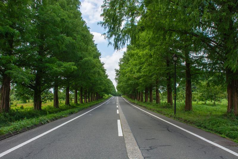 保険料の相場（トラック別）