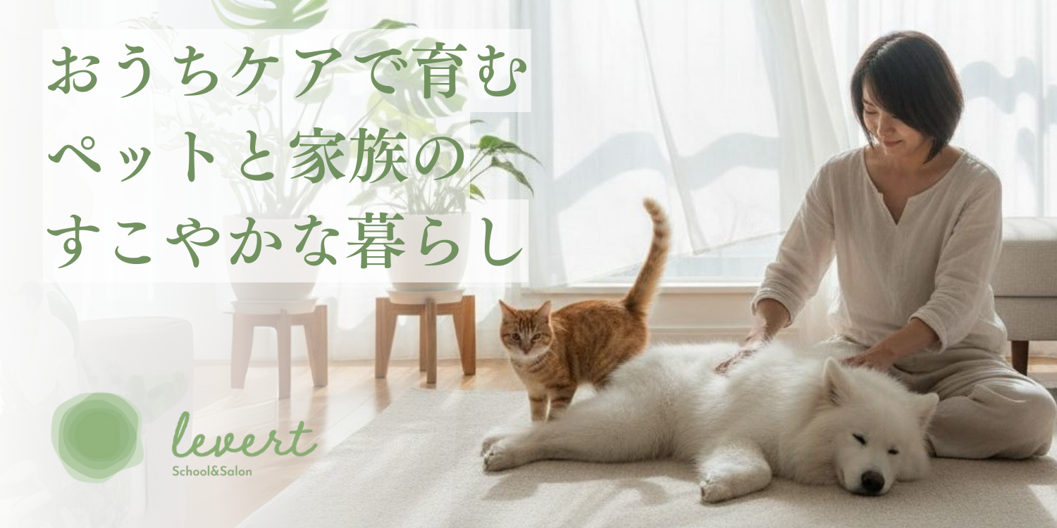 サイトをリニューアルしました