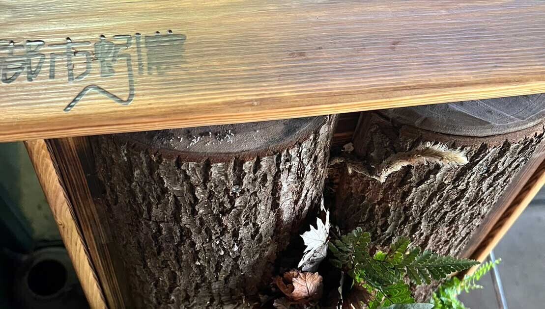 HiQシステム　(2023/12/31) あなただけのトリセツ　⑮じっくりお付き合いする？