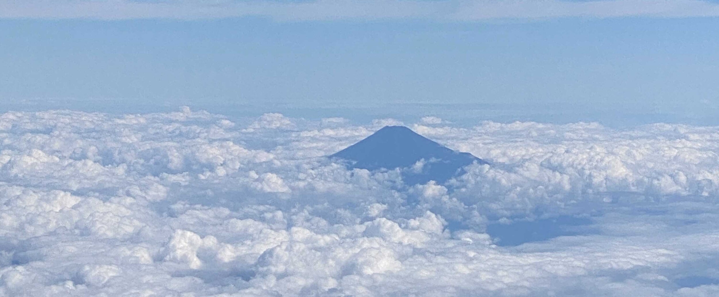 HiQ人間力分析師　(2024/1/1) 　あなただけのトリセツ　⑯品質を重視する