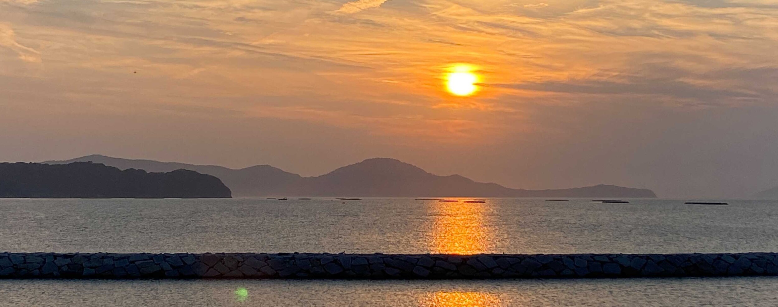 HiQシステム人間力分析 IAマップと仕事力 JAC8 「8 行動力」(2024/02/04)