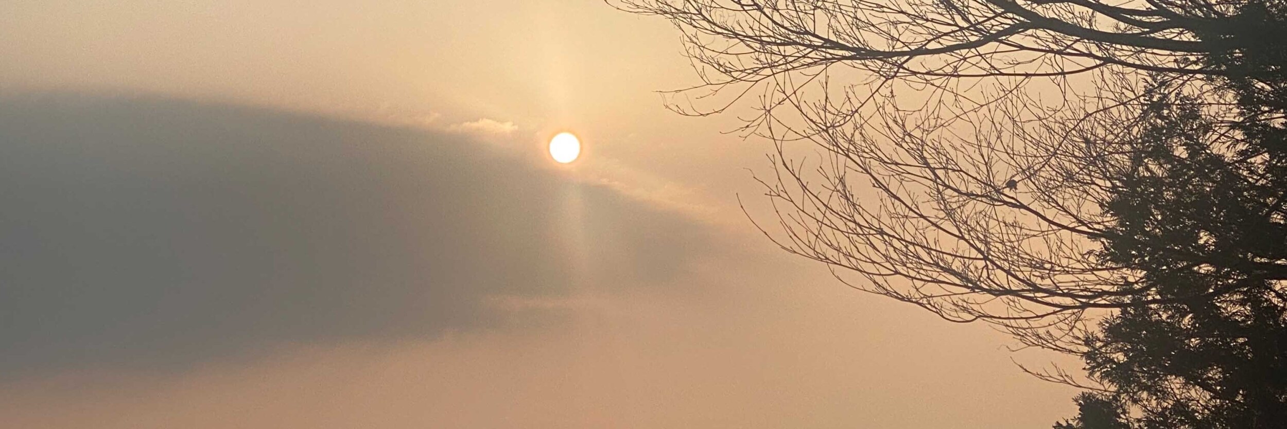 HiQシステム人間力分析 IAマップと仕事力 JAC8 「10 社交力 」人間関係の潤滑油2 (2024/02/17)