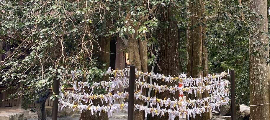 HiQシステム人間力分析IAマップと仕事力 顧客本位とJAC8分析してほしい能力①   (2024/03/15)