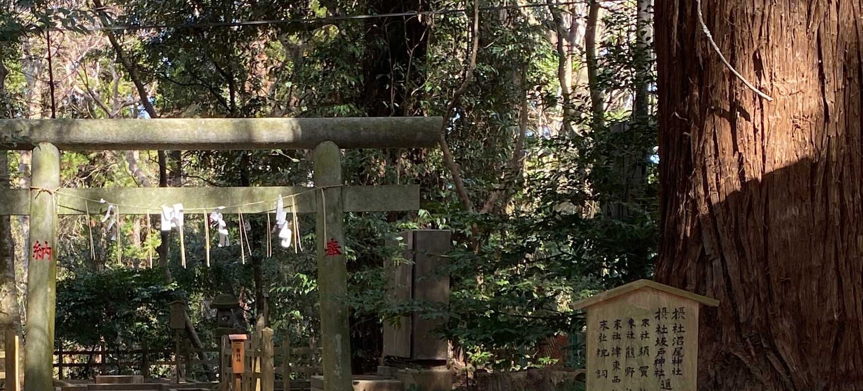 HiQシステム人間力分析 IAマップと仕事力  JAC8 「17 思考力 」思考力とは何か　③ 在庫する (2024/04/05)