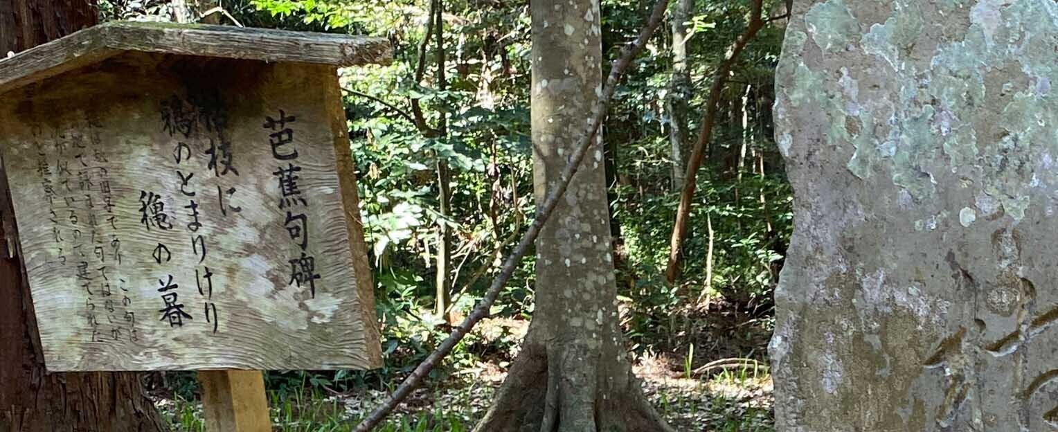 HiQシステム人間力  自分発見！①思いもしなかった自分がいた(2024/04/14)