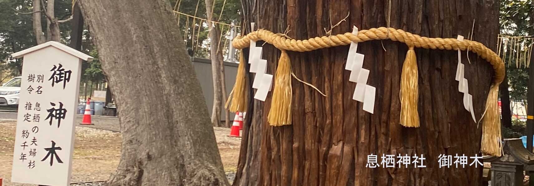 HiQIAマップと仕事力  「19 演繹的思考力」① 演繹的思考力とは (2024/04/21)