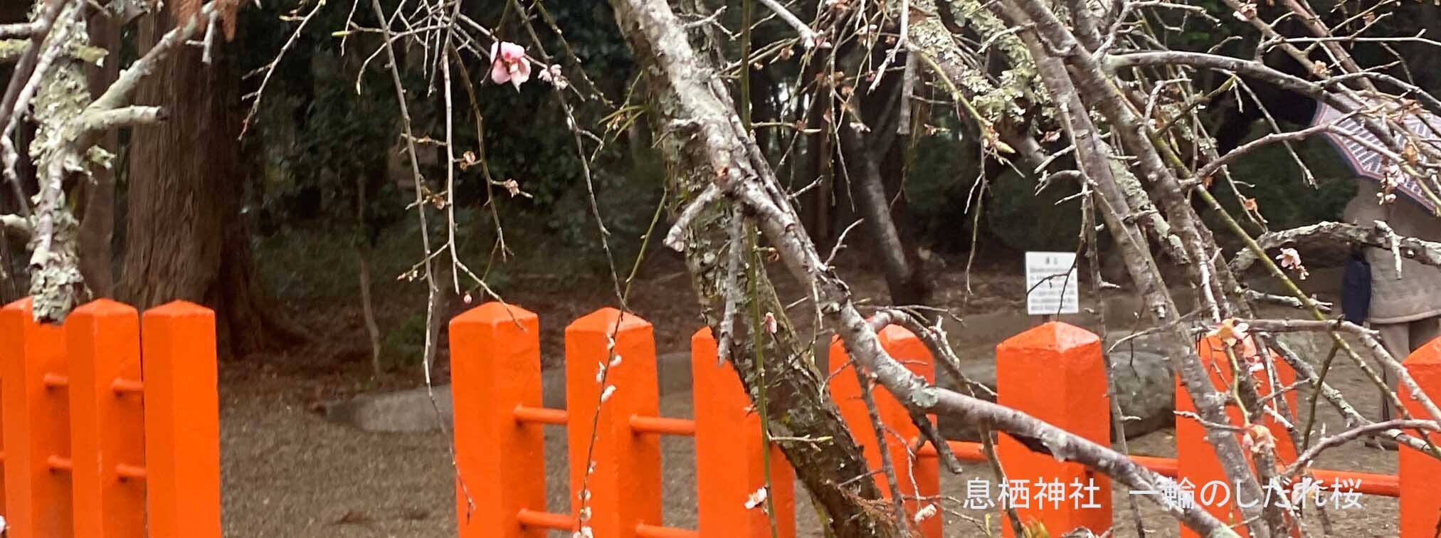 HiQIAマップと仕事力  「19 演繹的思考力」④社史こそ演繹的思考力 (2024/04/24)