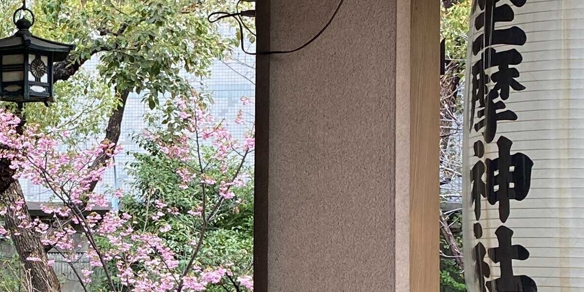 HiQ IAマップと仕事力 「22 図像力」 図像力とは何か ② (2024/05/08)