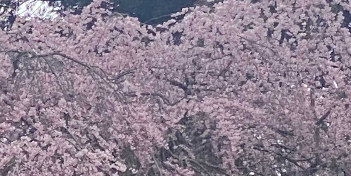 HiQ IAマップと仕事力 「23 分類力」分類力の働き ④  (2024/05/15)