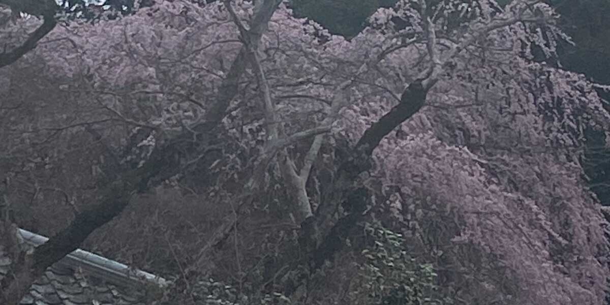 No191 HiQ IAマップと仕事力 「あなたをつなぐ四つのお付き合い」四つのお付き合いとは(2024/05/17)