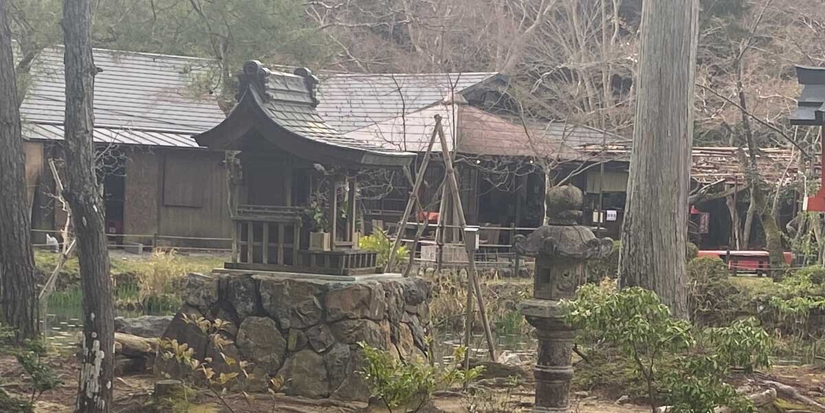 HiQ IAマップと仕事力 「24 識別力」① 識別力とは何か (2024/05/24)