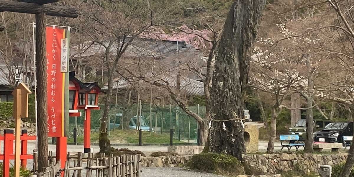 HiQ IAマップと仕事力 「24 識別力」③ 識別力が高い人材 (2024/05/26)