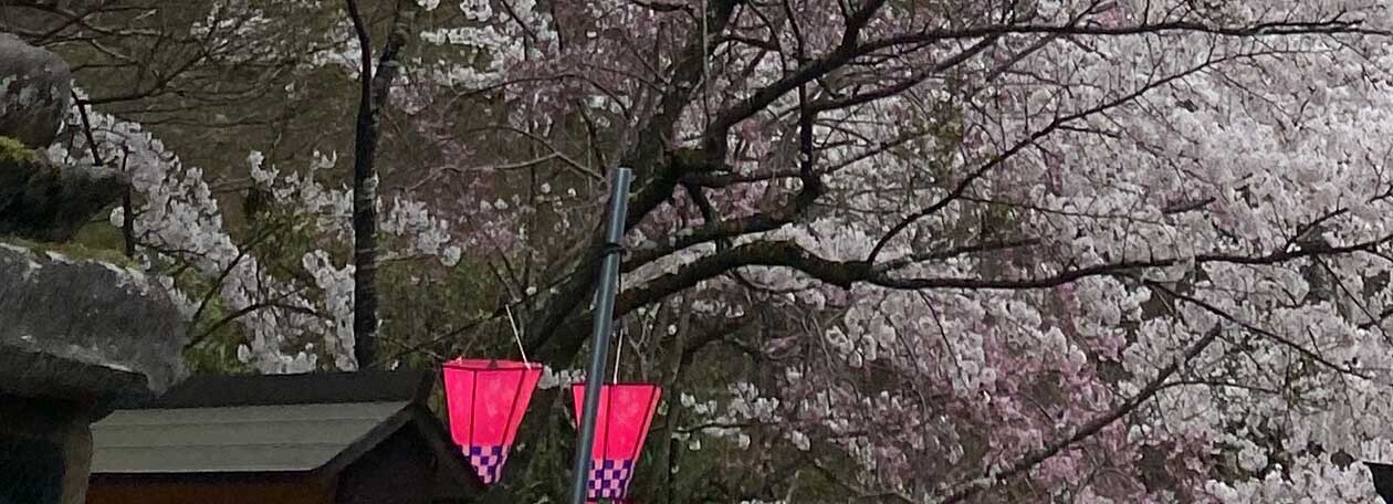 HiQ IAマップと仕事力 「26 創作力」②社会を変えた創作力 ① (2024/06/02)