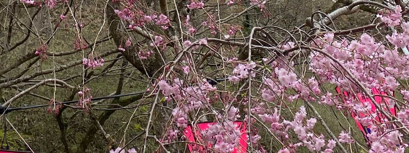 HiQ IAマップと仕事力 「26 創作力」②社会を変えた創作力 ② (2024/06/03)