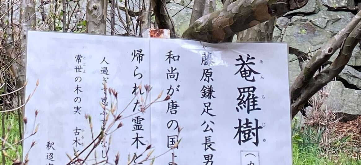 HiQ IAマップと仕事力 「27 傾聴力」②傾聴力で成長した企業 ②  (2024/06/09)