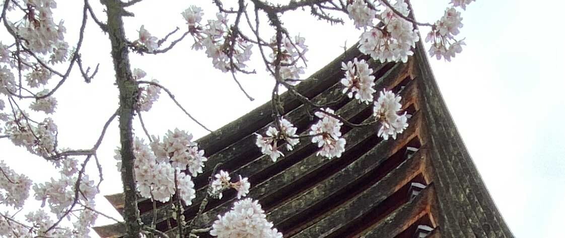 HiQ IAマップと仕事力 「28 表現力」 ビジネスメリット①  (2024/06/14)