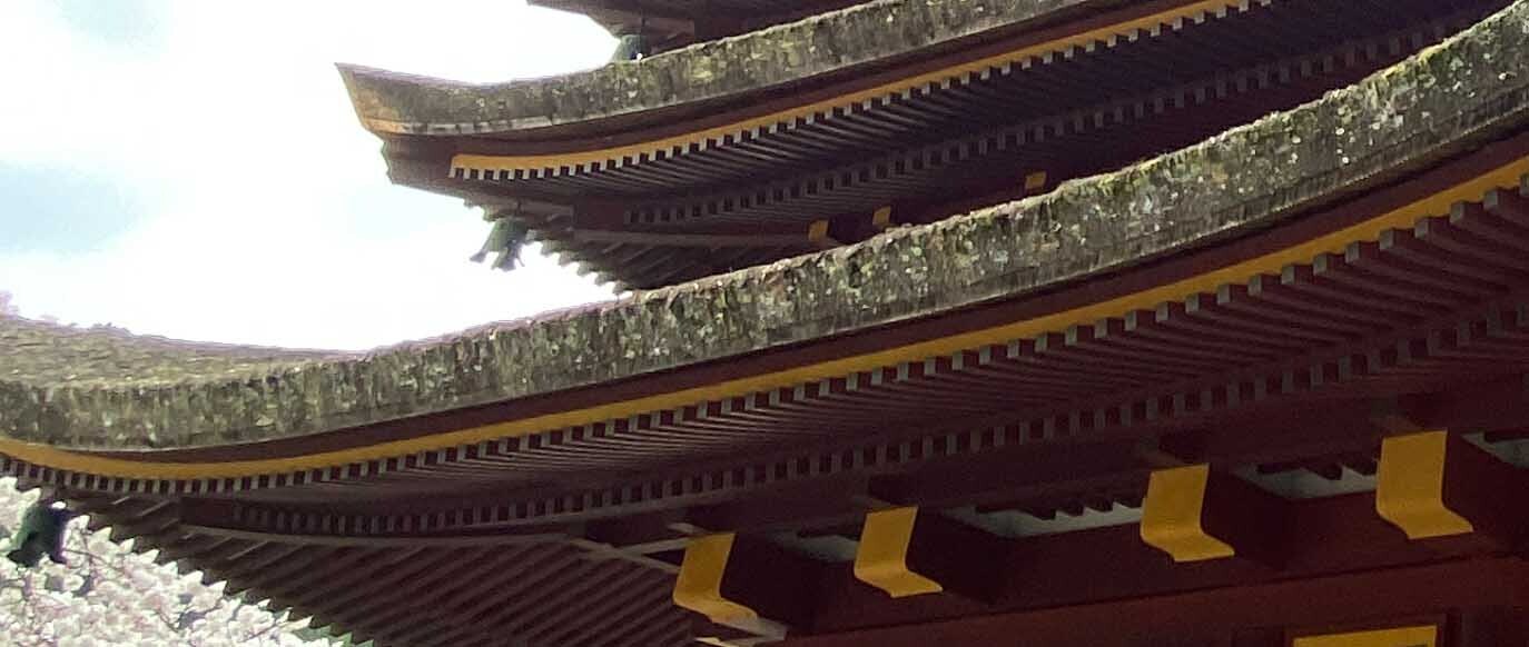 HiQ IAマップと仕事力 「28 表現力」 ビジネスメリット② (2024/06/15)