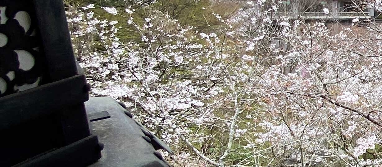 HiQ IAマップと仕事力 「29 器用性」器用性とモノづくりの関係② (2024/06/18)