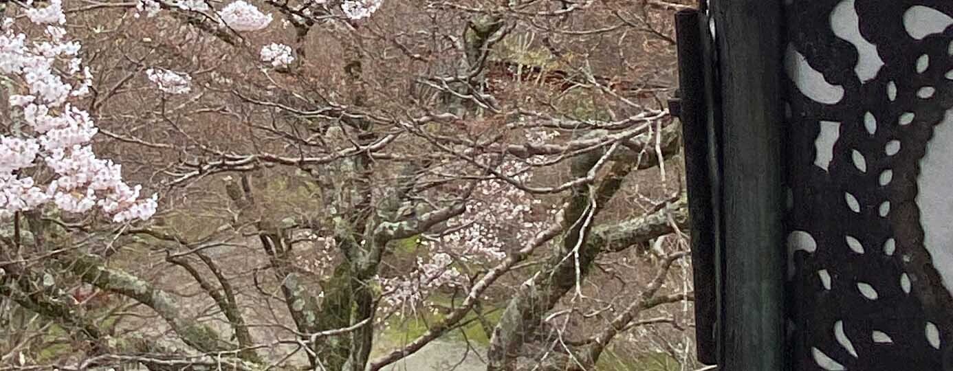 HiQ IAマップと仕事力 「29 器用性」器用性とマネジメントの関係 ① (2024/06/19)