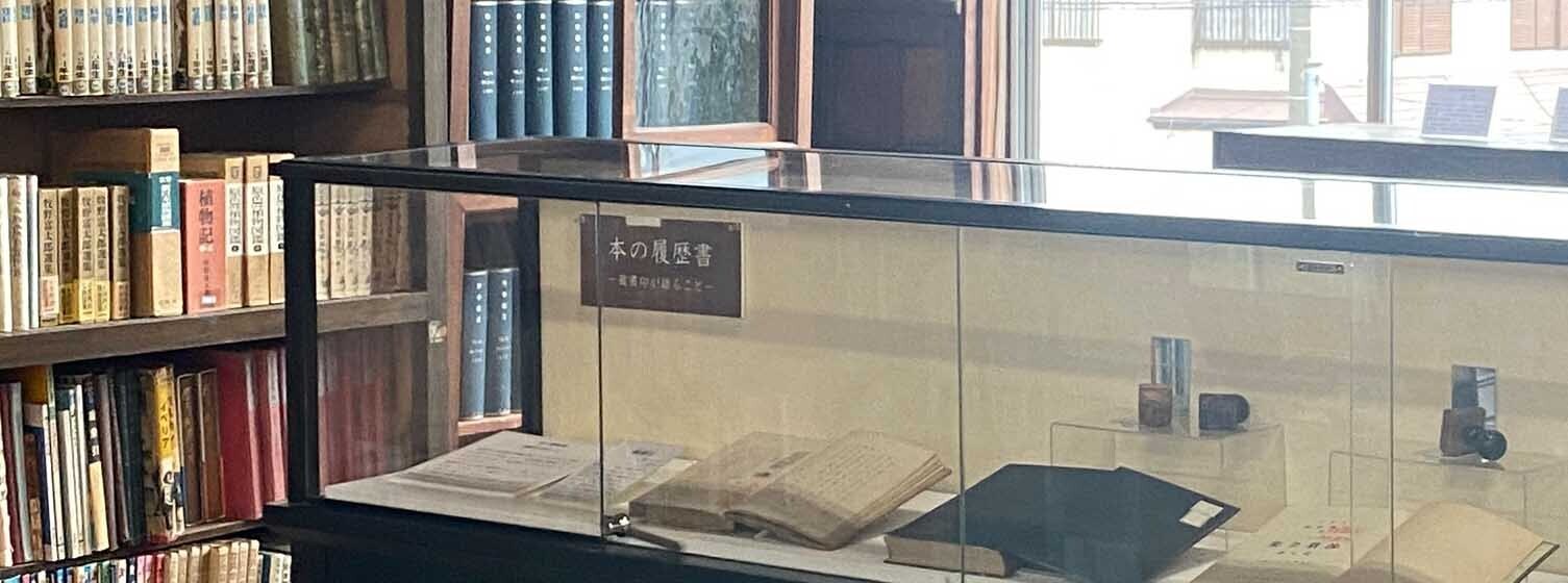 HiQ IAマップと仕事力 「33　ストレス耐性」ストレス耐性とは何か① (2024/07/06)