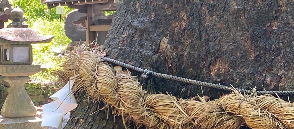 HiQ IAマップと仕事力 「34 コミュニケーション力」効果的なコミュニケーション力 ③ (2024/07/13)