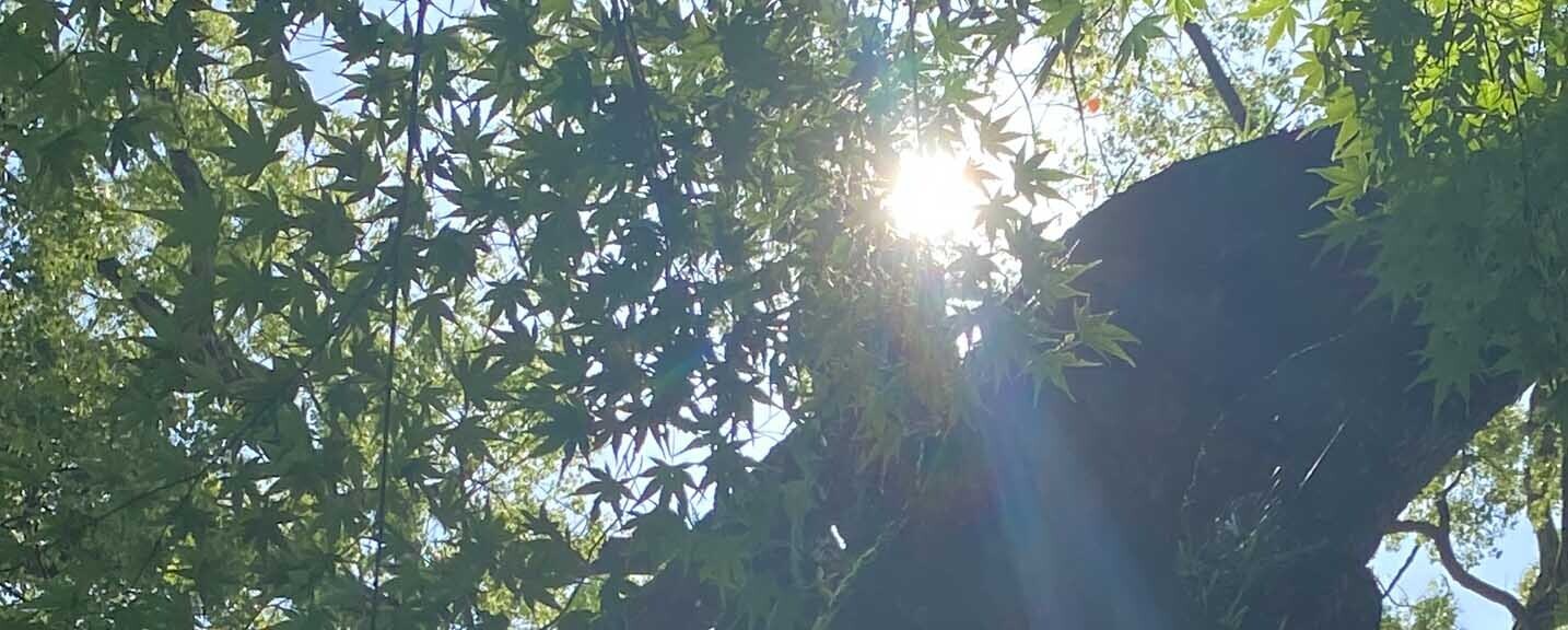 HiQ IAマップと仕事力 「34 コミュニケーション力」コミュニケーション力と経営効果 ① (2024/07/14)