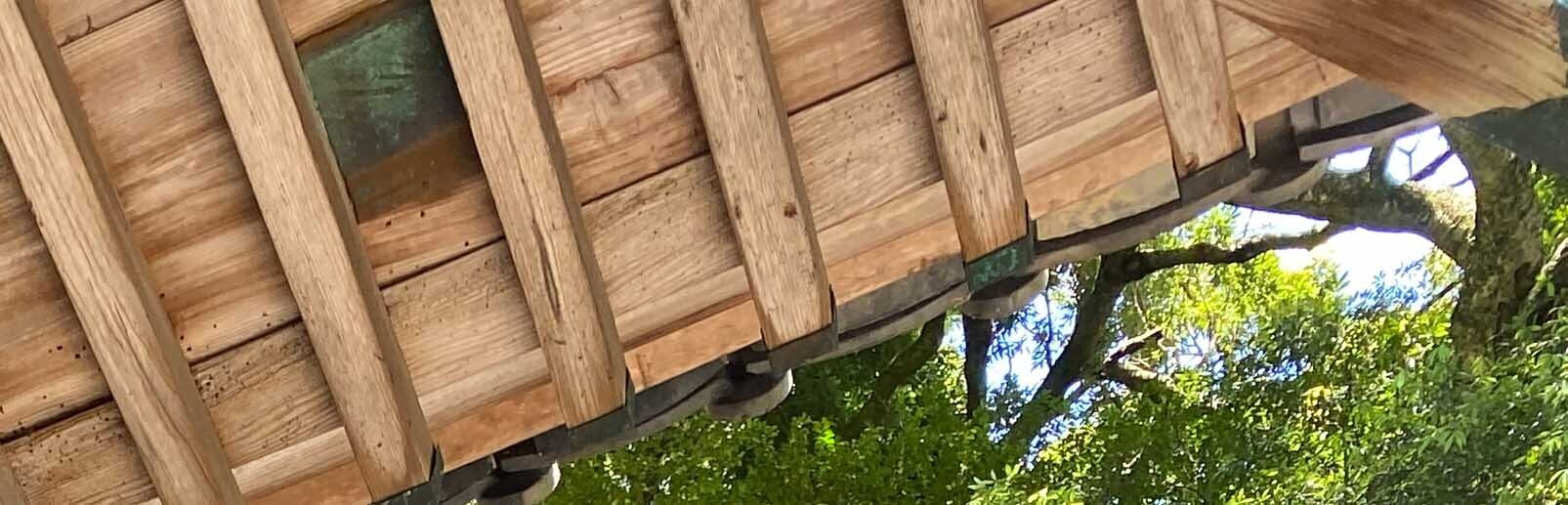 HiQ IAマップと仕事力 「35 情緒管理力」情緒管理力とは何か (2024/07/16)