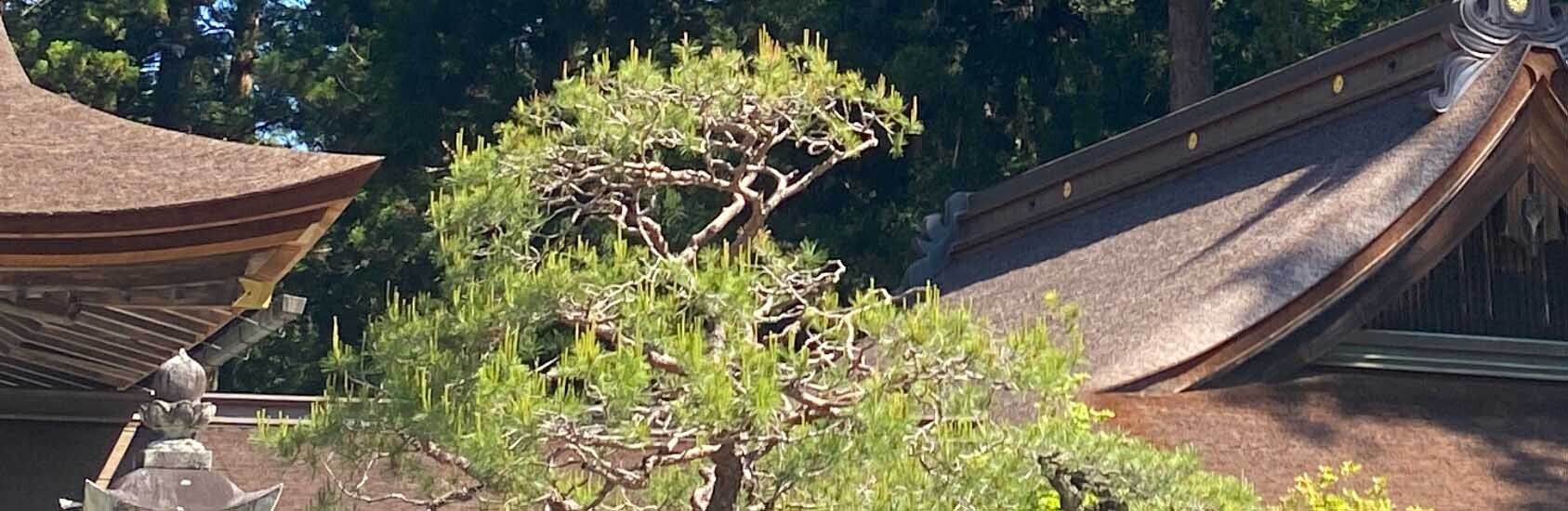 HiQ IAマップと仕事力 「潜能」潜能とチームビルディング ②　つづき　(2024/08/01)