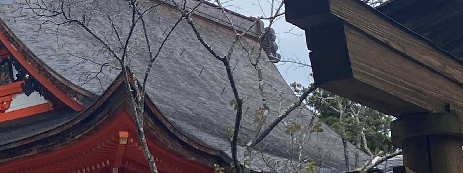 【No327  IAマップと仕事力】 「49 閲読力」優れた閲読力のメリット②